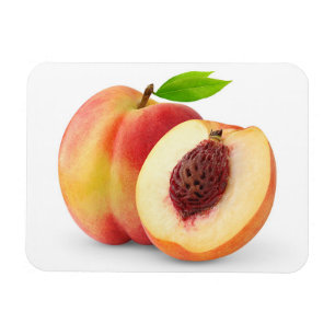 Nectarine perziken magneet