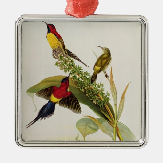 Nectarinia Gouldae Metalen Ornament (Voorkant)