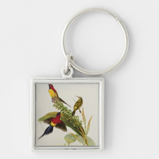 Nectarinia Gouldae Sleutelhanger (Voorkant)