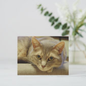 Nedda Briefkaart (Staand voorkant)