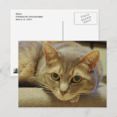 Nedda Briefkaart (Voorkant / Achterkant)