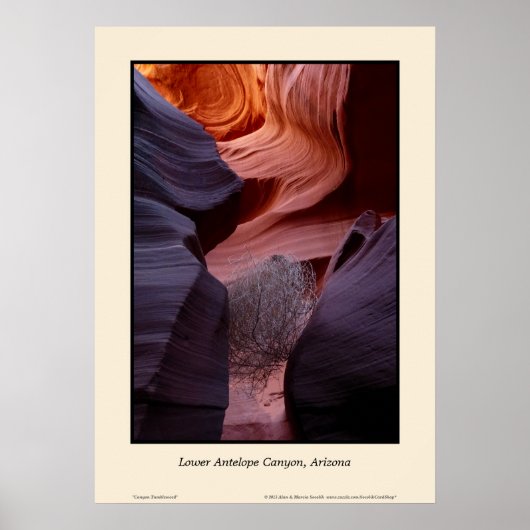 Neder-Antelope Canyon Arizona Tumbleweed Southwest Poster (Voorkant)