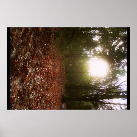 Neder Woodland Poster (Voorkant)