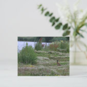 Nedereindse Plas Briefkaart (Staand voorkant)