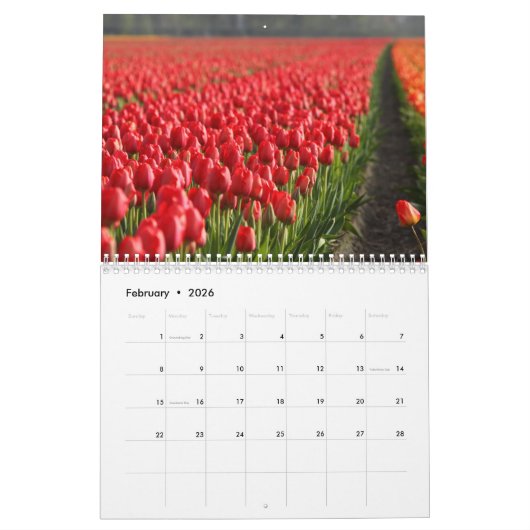 Nederland 2025 kalender (Feb 2026)