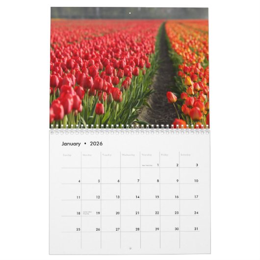 Nederland 2025 kalender (Jan 2026)