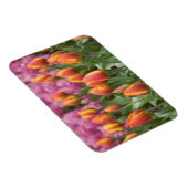 Nederland (alias Holland), Lisse. Keukenhof Magneet (Rechterzijde)