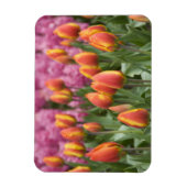 Nederland (alias Holland), Lisse. Keukenhof Magneet (Verticaal)