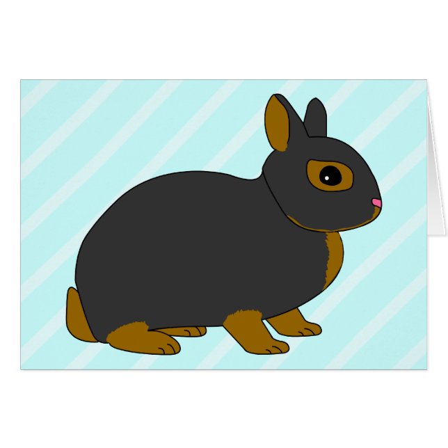 Nederland Dwarf Rabbit (Voorkant Horizontaal)
