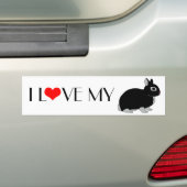 Nederland Dwarf Rabbit Bumpersticker (Op auto)