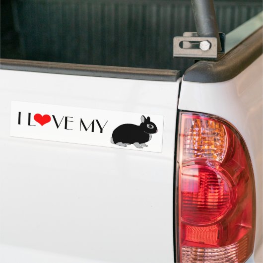 Nederland Dwarf Rabbit Bumpersticker (Op Truck)