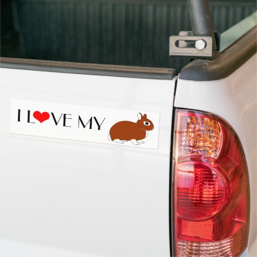 Nederland Dwarf Rabbit Bumpersticker (Op Truck)