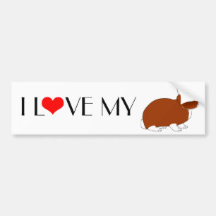 Nederland Dwarf Rabbit Bumpersticker