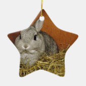 Nederland Dwarf Rabbit Keramisch Ornament (Voorkant)