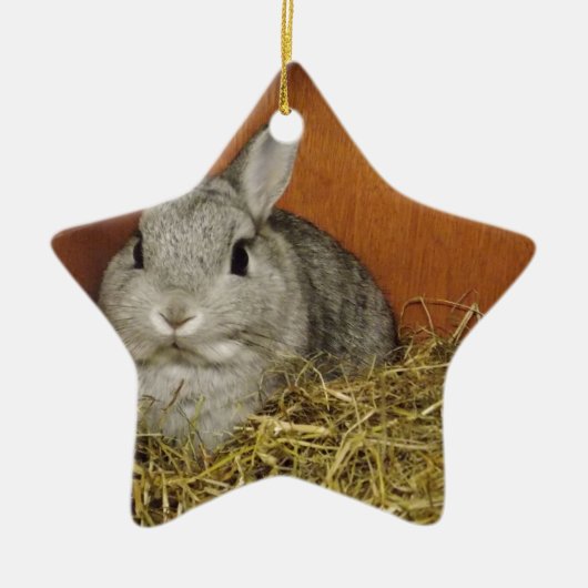 Nederland Dwarf Rabbit Keramisch Ornament (Voorkant)