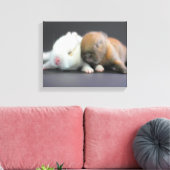 Nederland Dwarf Rabbits Canvas Afdruk (Insitu (Woonkamer))