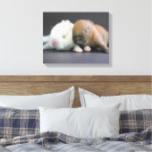 Nederland Dwarf Rabbits Canvas Afdruk (Insitu (Slaapkamer))