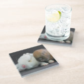 Nederland Dwarf Rabbits Glazen Onderzetter (Schuin)