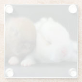 Nederland Dwarf Rabbits Glazen Onderzetter (Achterkant)