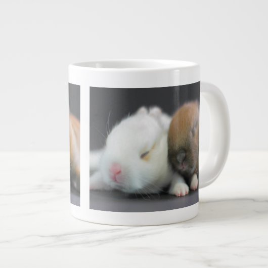 Nederland Dwarf Rabbits Grote Koffiekop (Voorkant rechts)