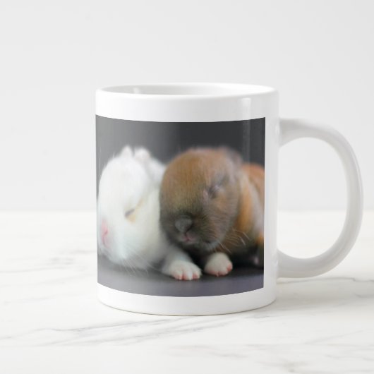Nederland Dwarf Rabbits Grote Koffiekop (Rechts)
