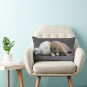 Nederland Dwarf Rabbits Kussen (Stoel)