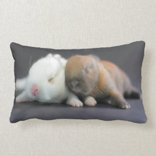 Nederland Dwarf Rabbits Kussen