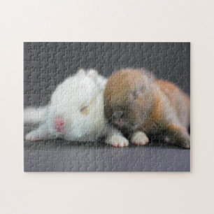 Nederland Dwarf Rabbits Legpuzzel