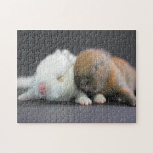 Nederland Dwarf Rabbits Legpuzzel (Horizontaal)