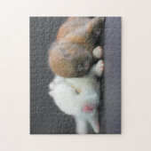 Nederland Dwarf Rabbits Legpuzzel (Verticaal)