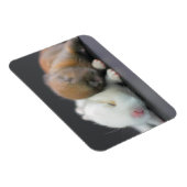 Nederland Dwarf Rabbits Magneet (Rechterzijde)