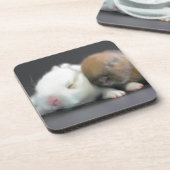 Nederland Dwarf Rabbits Onderzetter (Linkerzijde)