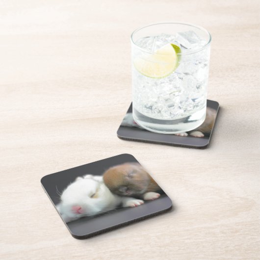 Nederland Dwarf Rabbits Onderzetter (Rechterzijde)