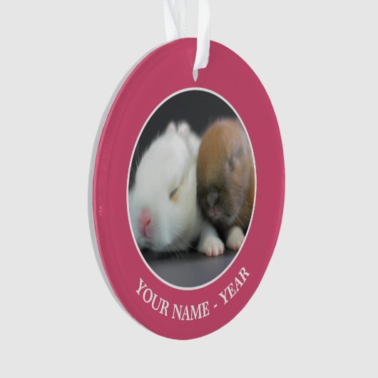 Nederland Dwarf Rabbits Ornament (voorkant)