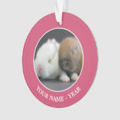 Nederland Dwarf Rabbits Ornament (voorkant)