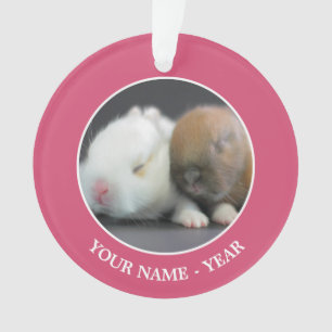 Nederland Dwarf Rabbits Ornament