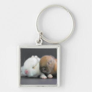 Nederland Dwarf Rabbits Sleutelhanger
