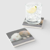 Nederland Dwarf Rabbits Stenen Onderzetter (Zijkant)