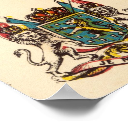 Nederland en België Poster (Hoek)