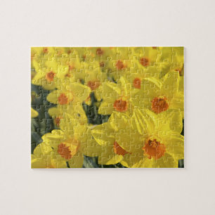 Nederland, Holland, Lisse, Keukenhof Tuinen, Legpuzzel