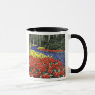 Nederland, Holland, Lisse, Keukenhof Tuinen Mok