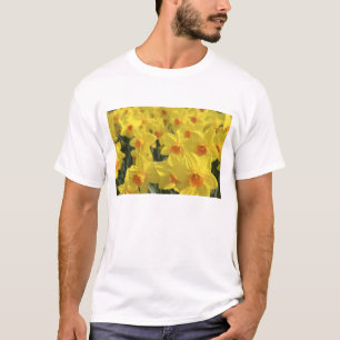 Nederland, Holland, Lisse, Keukenhof Tuinen, T-shirt