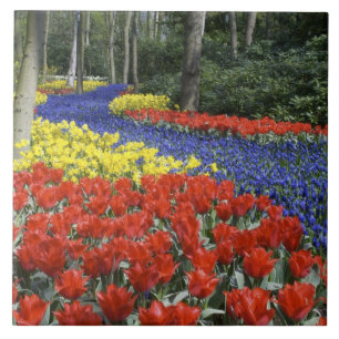 Nederland, Holland, Lisse, Keukenhof Tuinen Tegeltje