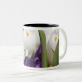 Nederland, Keukenhoff Gardens, Tulips. Tweekleurige Koffiemok (Voorkant rechts)