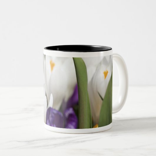 Nederland, Keukenhoff Gardens, Tulips. Tweekleurige Koffiemok (Voorkant rechts)