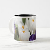 Nederland, Keukenhoff Gardens, Tulips. Tweekleurige Koffiemok (Voorkant links)