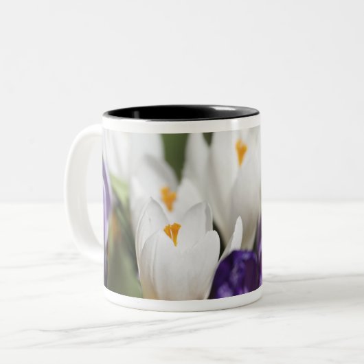 Nederland, Keukenhoff Gardens, Tulips. Tweekleurige Koffiemok (Voorkant links)
