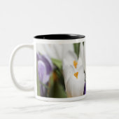 Nederland, Keukenhoff Gardens, Tulips. Tweekleurige Koffiemok (Links)