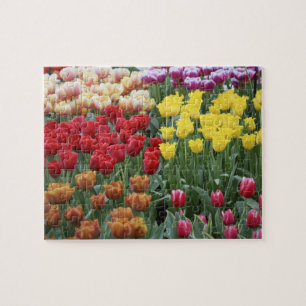 Nederland, Keukenhoff Gardens, tulpen. Legpuzzel