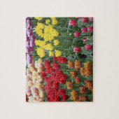 Nederland, Keukenhoff Gardens, tulpen. Legpuzzel (Verticaal)